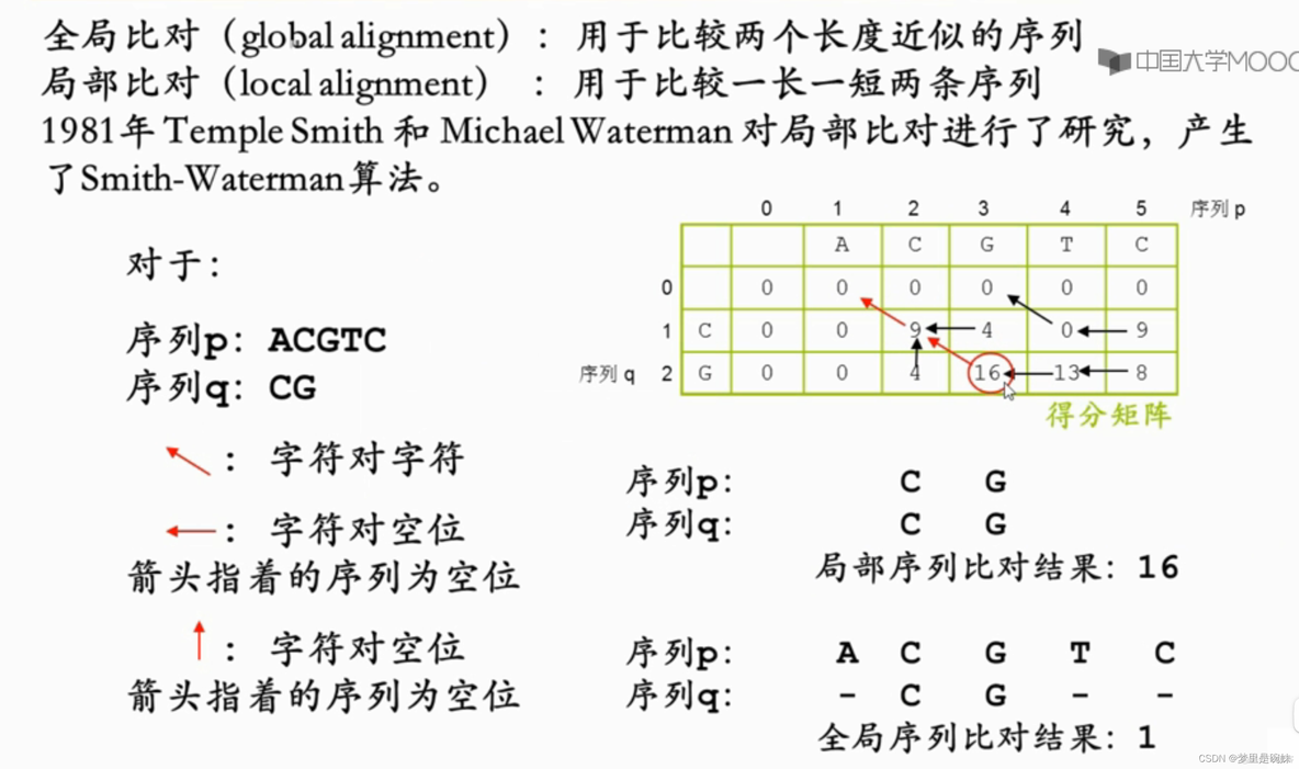 biojava比对序列 序列比对的关键问题_biojava比对序列_16