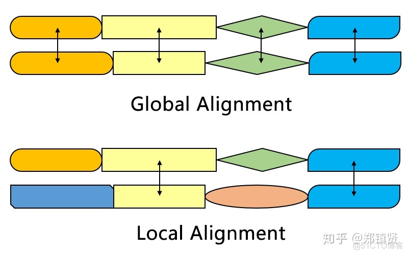 biojava比对序列 序列比对的关键问题_字符串_22