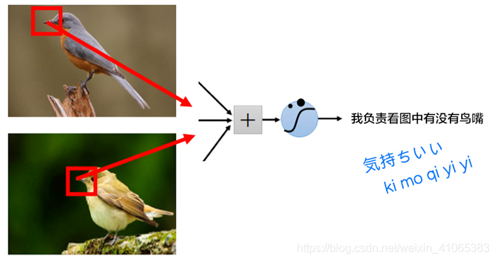 卷积神经网络 电力系统 卷积神经网络 通俗_理论_07