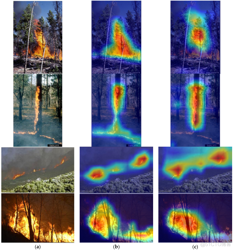森林着火模型python实现 森林火灾建模_卷积神经网络_09