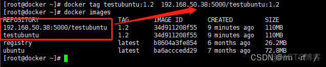 docker 中images 是什么 docker images rm_ubuntu_26