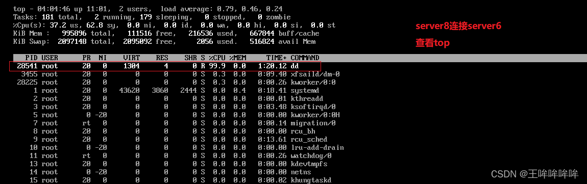 群晖docker容器怎么放桌面 群晖docker怎么玩_linux_03