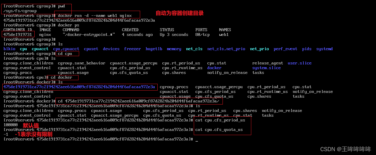 群晖docker容器怎么放桌面 群晖docker怎么玩_群晖docker容器怎么放桌面_08