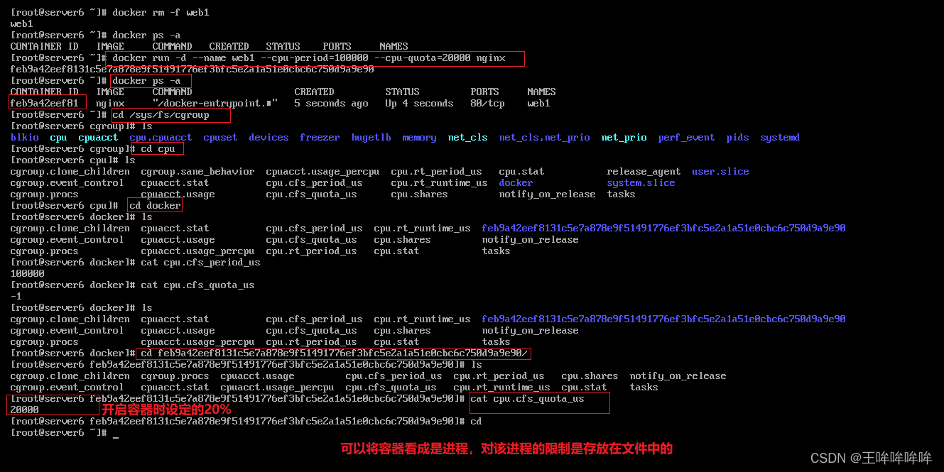 群晖docker容器怎么放桌面 群晖docker怎么玩_群晖docker容器怎么放桌面_09