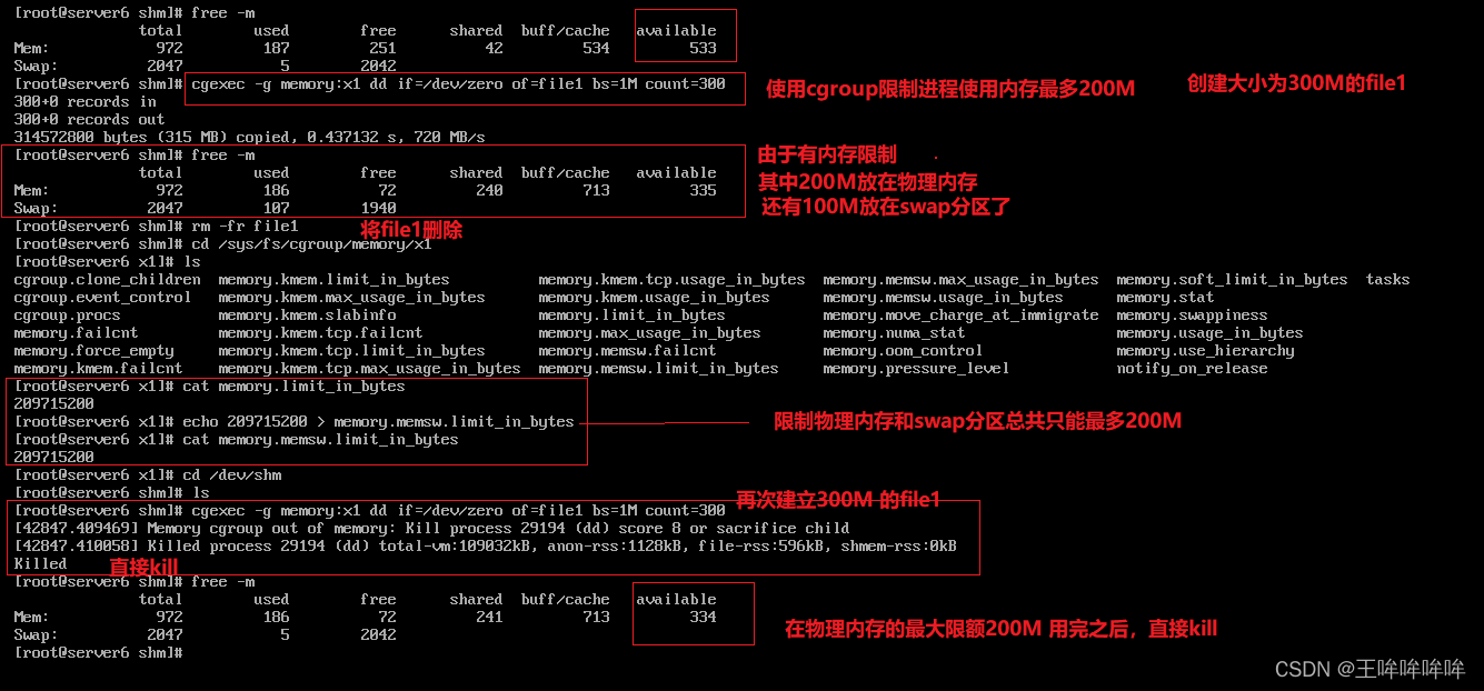 群晖docker容器怎么放桌面 群晖docker怎么玩_linux_16