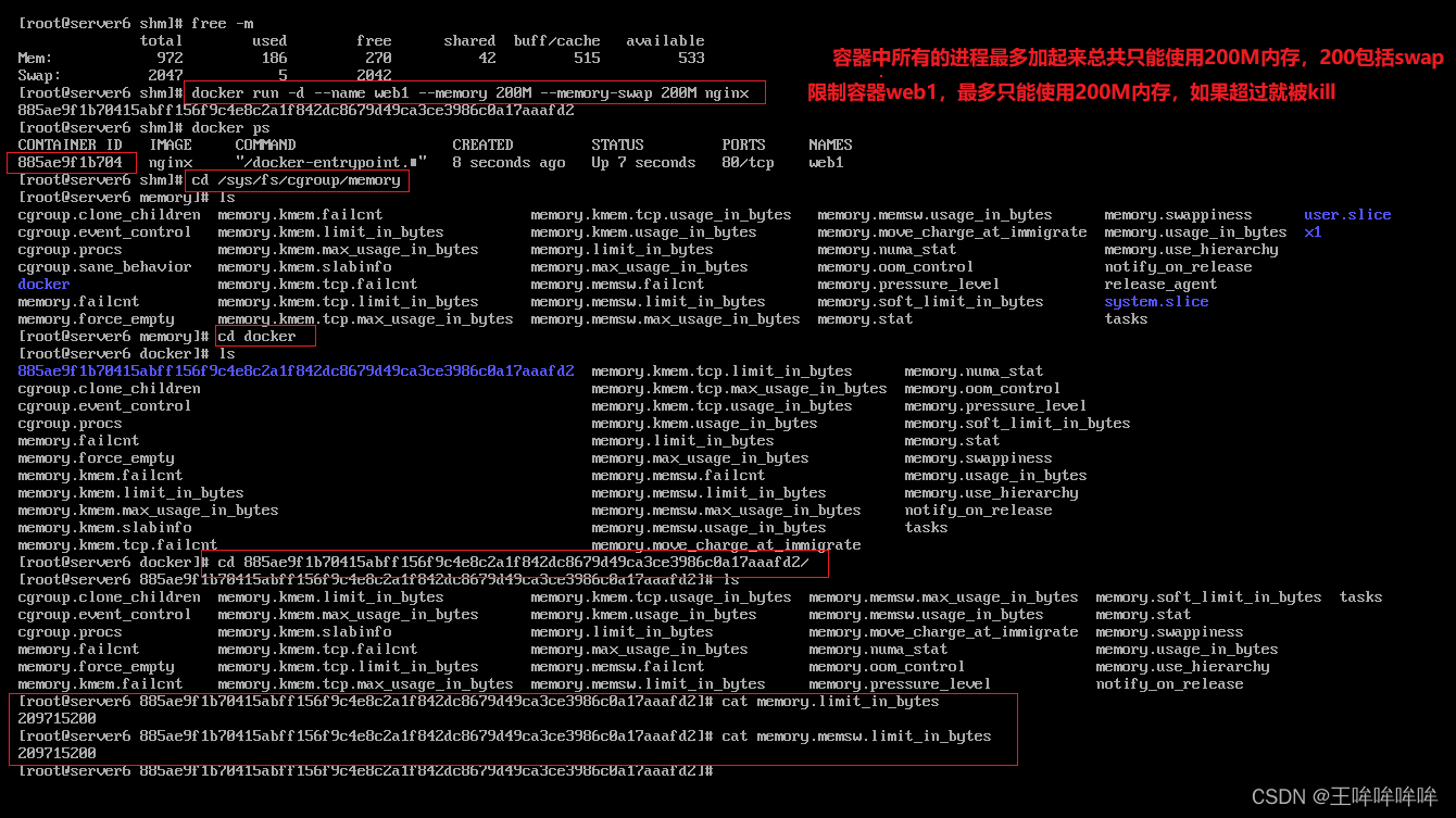 群晖docker容器怎么放桌面 群晖docker怎么玩_容器_17