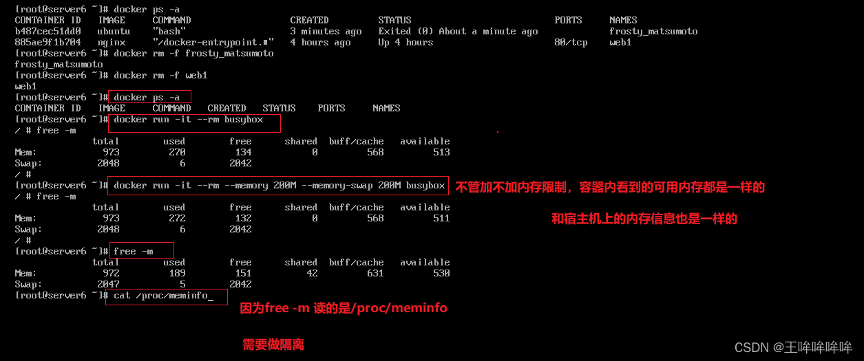 群晖docker容器怎么放桌面 群晖docker怎么玩_容器_20