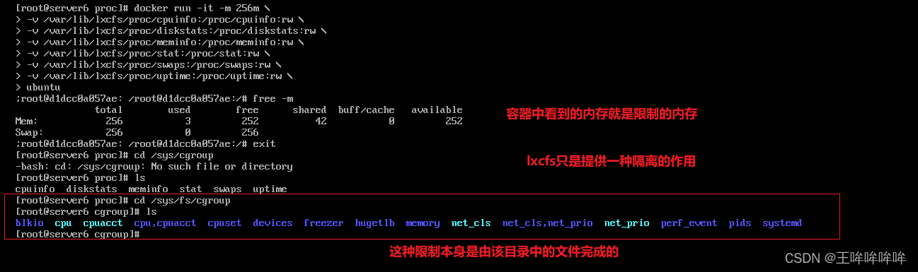 群晖docker容器怎么放桌面 群晖docker怎么玩_docker_23