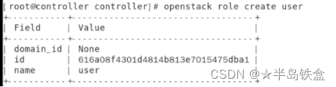 openstack api版本 openstack v版本_云计算_08