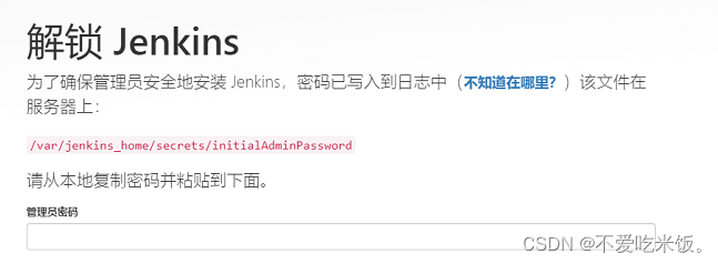 安装Jenkins提示java路径无效 jenkins安装部署_docker