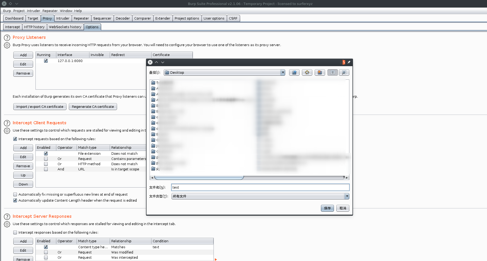 burpsuite ios 抓包提示伪装 burp suite抓包没反应_扩展名_03