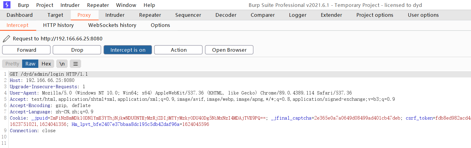 burpsuite使用自带的java burp suite key_Burp_10