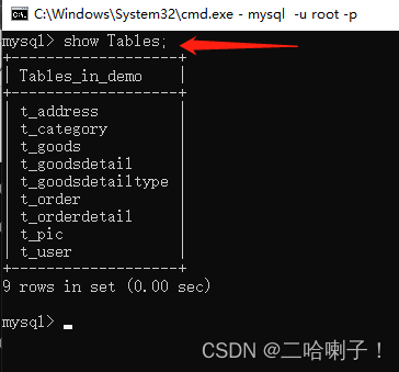 数据库导入mysql命令 source mysql数据库导入数据命令_数据库_11