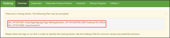 hadoop丢块 hdfs数据丢失_big data_02