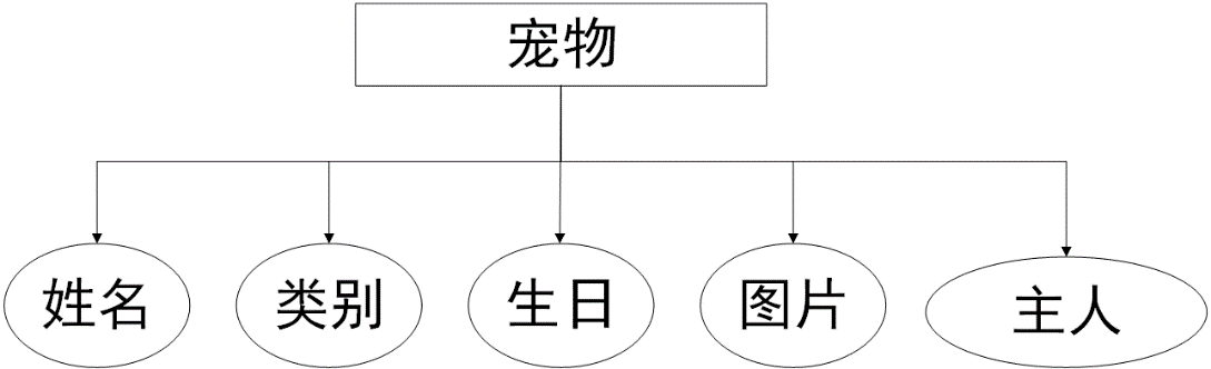 宠物店管理系统mysql 宠物店管理系统er图_宠物店管理系统mysql_08