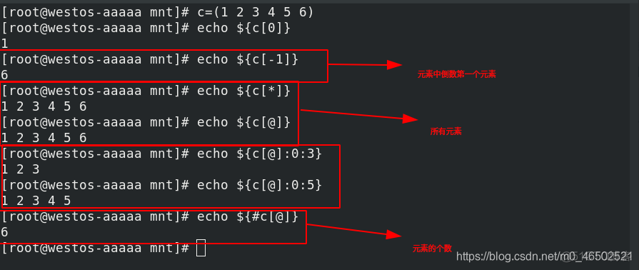 shell脚本使用变量写入mysql shell脚本传入变量_bash_06