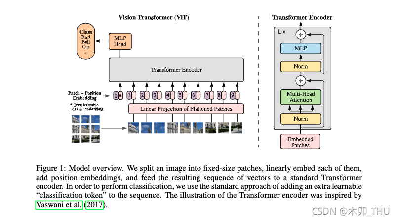 ViT的模型架构图 vie架构图解_人工智能_03