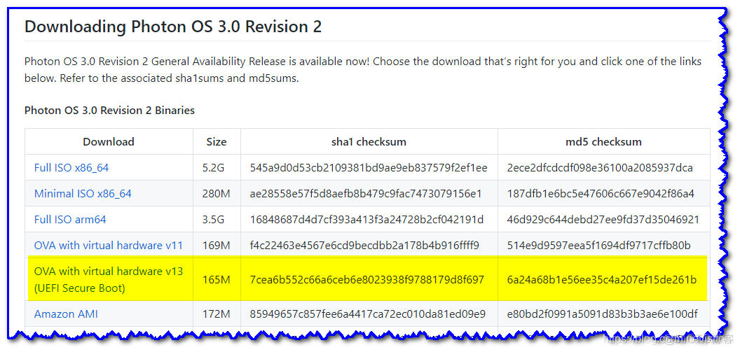 ESXi 可以docker esxi支持docker吗_docker