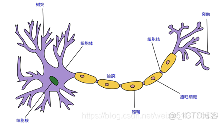 机器学习脑电信号分类综述 脑电信号的分类_机器学习