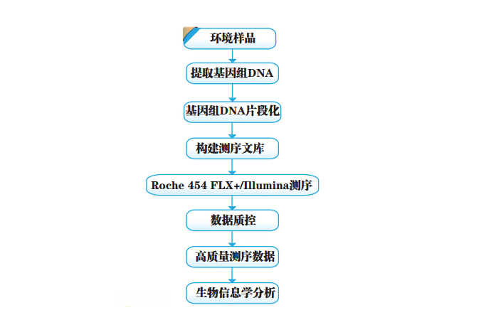 宏基因组python 宏基因组名词解释_统计模式识别