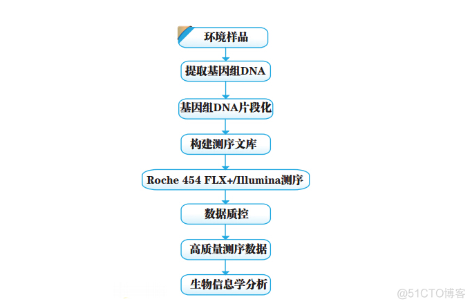 宏基因组python 宏基因组名词解释_图形化