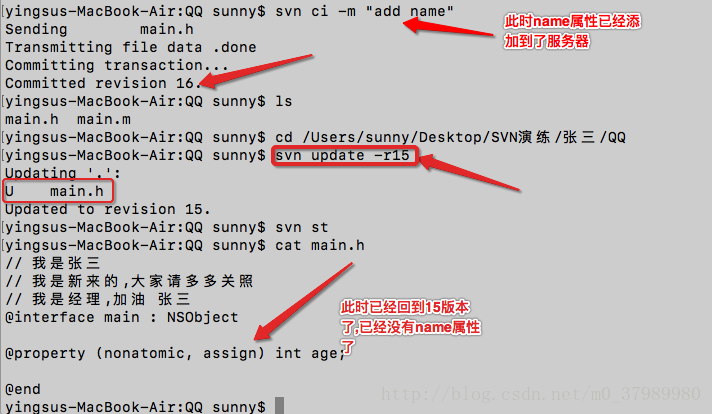 JAVA 查看svn提交版本 svn查看本地代码版本_多人开发