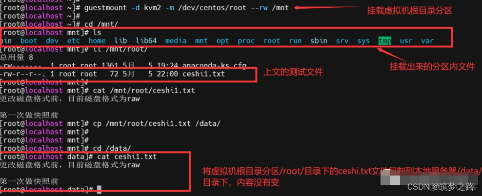 查看虚拟机的mysql字符集编码 虚拟机名称查看_运维_03