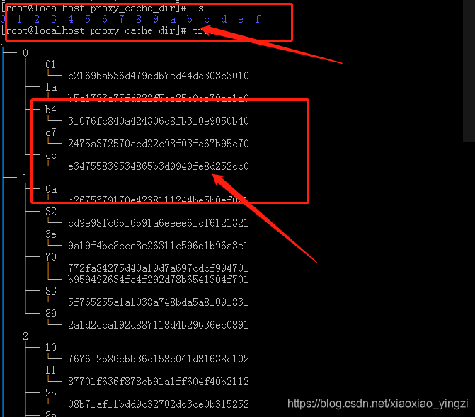 nginx 缓存 redis nginx 缓存hash_NGINX缓存_02