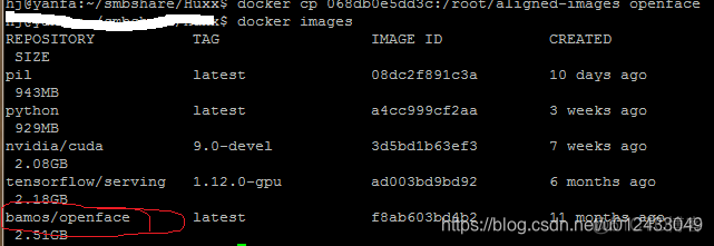 docker运行kvm Docker运行openface_命令行