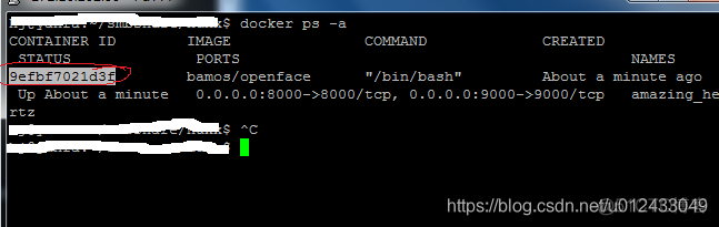 docker运行kvm Docker运行openface_docker_03