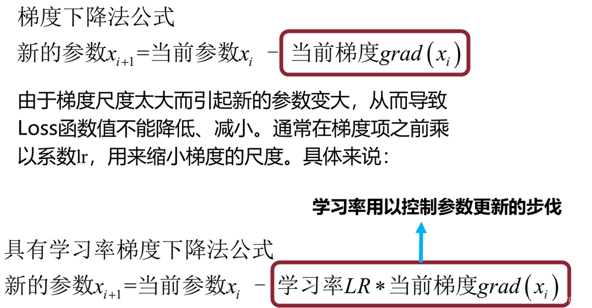 python导入优化器包 pytorch sgd优化器_随机梯度下降_06