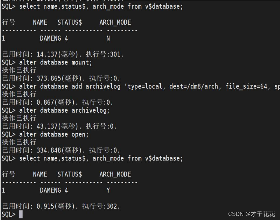 DOcker 达梦数据库 教程 达梦数据库视频教程_学习_12