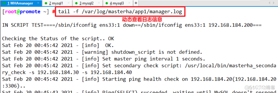 如何解决MySQL单节点故障 mysql集群如何判断节点坏了_后端_29