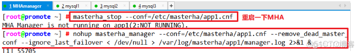 如何解决MySQL单节点故障 mysql集群如何判断节点坏了_java_37