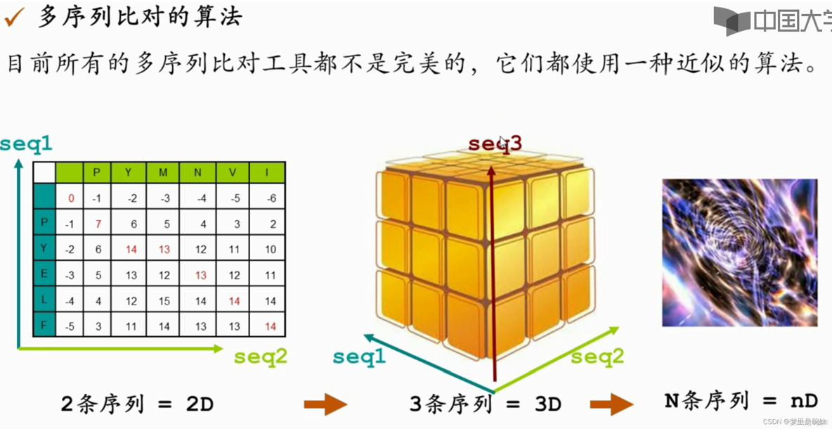 多序列比对 python 多序列比对名词解释_二级