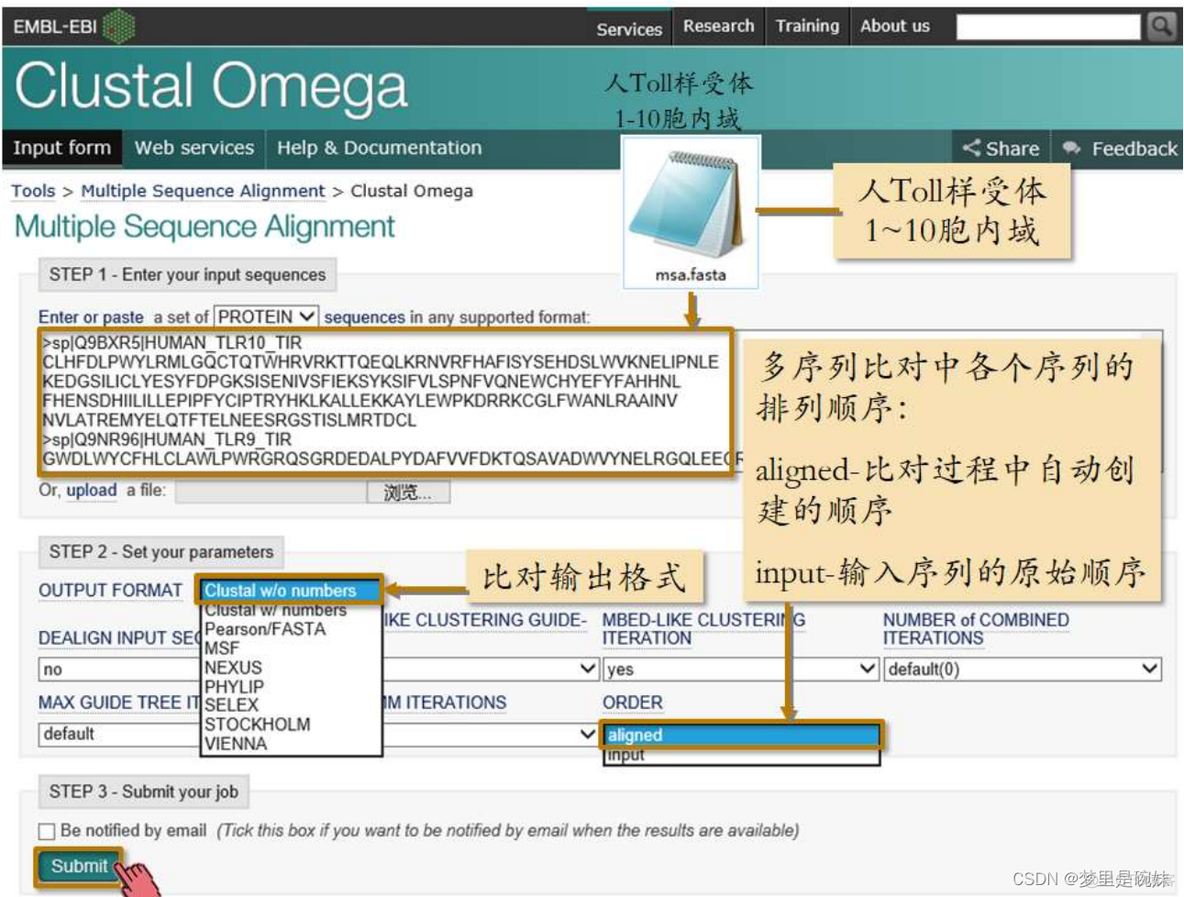 多序列比对 python 多序列比对名词解释_多序列比对_03