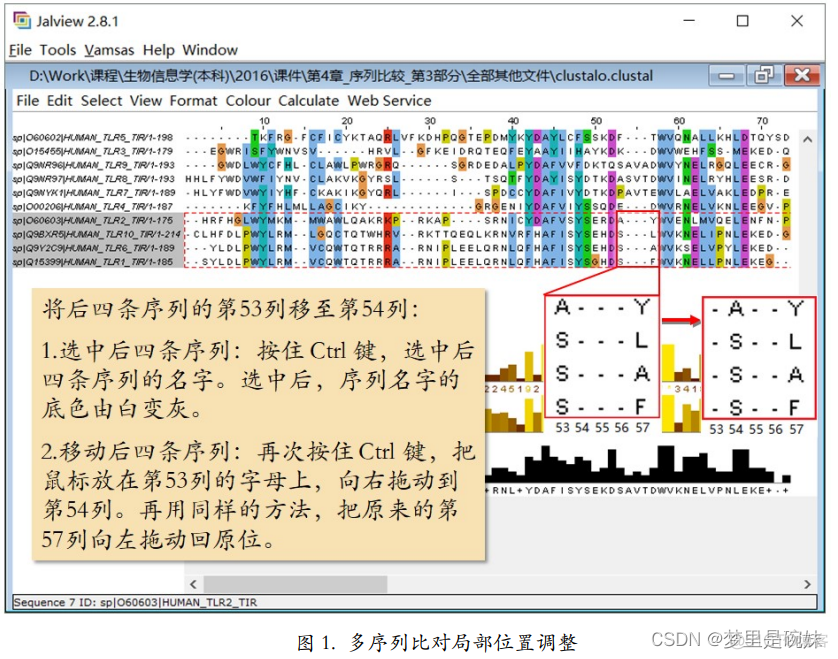 多序列比对 python 多序列比对名词解释_二级_18