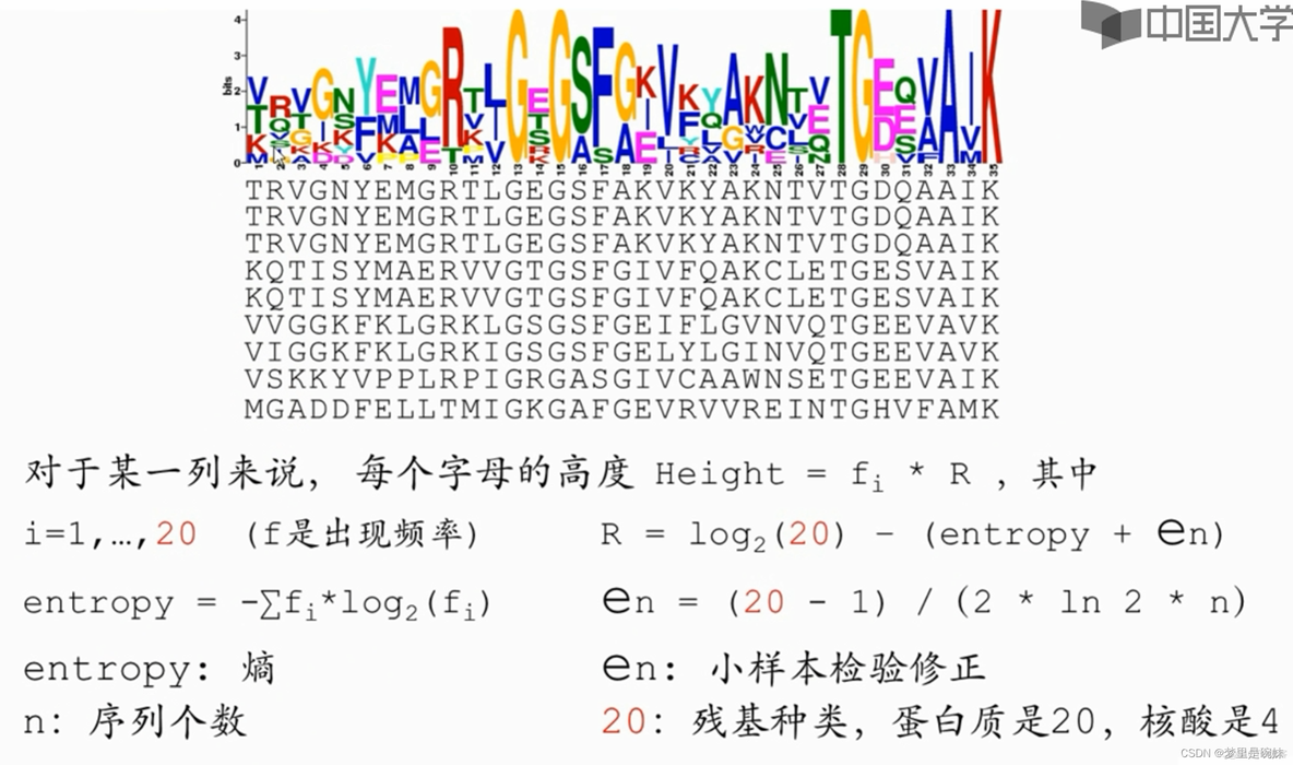 多序列比对 python 多序列比对名词解释_数据库_26