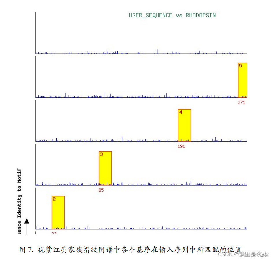 多序列比对 python 多序列比对名词解释_多序列比对_36