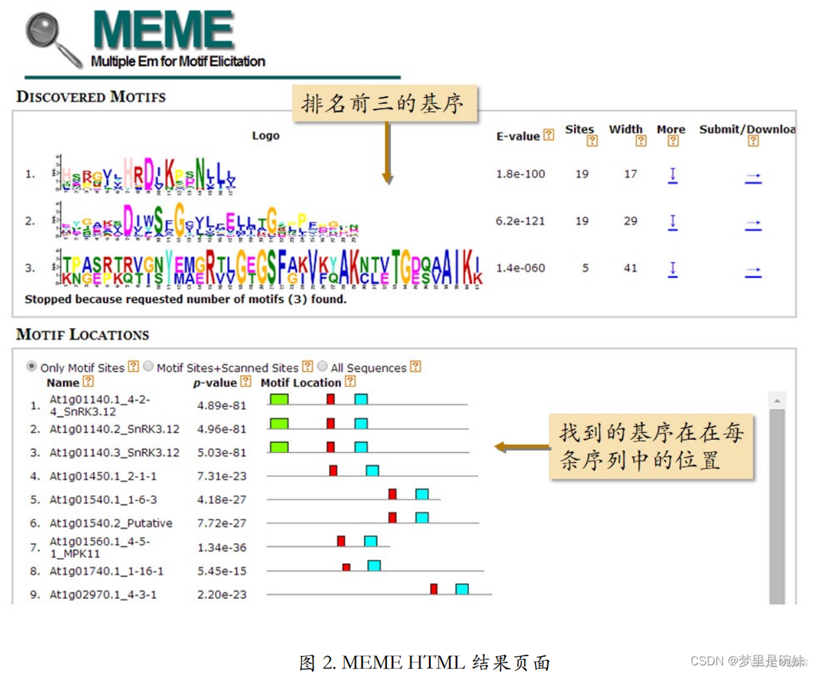 多序列比对 python 多序列比对名词解释_数据库_30