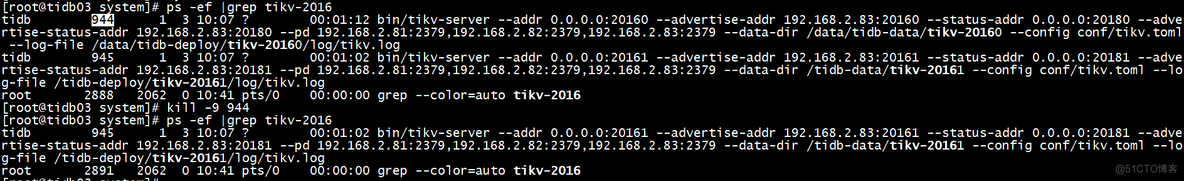 [转帖]TiDB损坏多副本之有损恢复处理方法_SQL_09