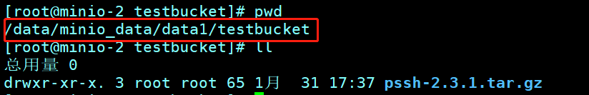 [转帖]CentOS7安装笔记：minio分布式集群搭建_上传_06