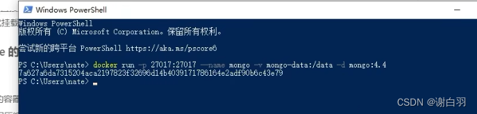 docker 思源笔记 自动升级 思源笔记docker部署_docker_44