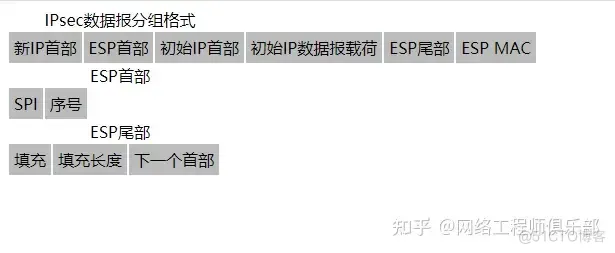 网工我劝你，这11种协议报文格式要烂熟于心！_数据_06