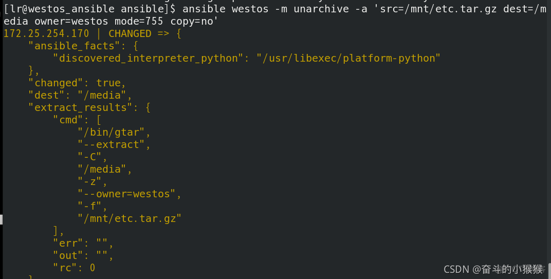 ansible 接口api java ansible -v_ansible 接口api java_99