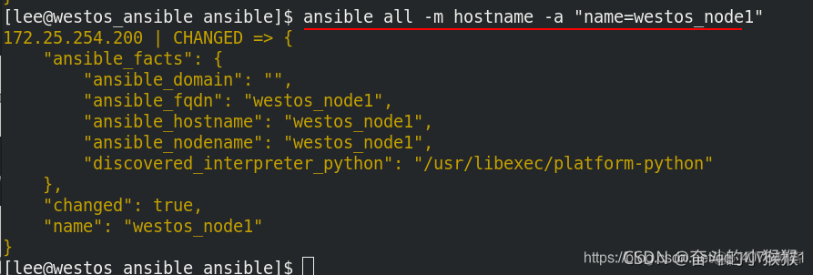 ansible 接口api java ansible -v_运维_104