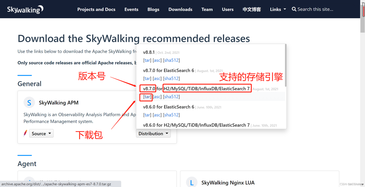 skywalking集成mysql skywalking 数据库监控_jar