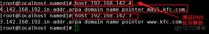hadoop 域名反向解析 反向域名解析协议_服务器_16