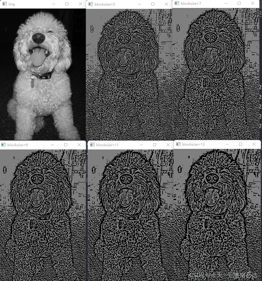 python 图像二值化 opencv 识别 文字 opencv图像二值化函数_自适应_06