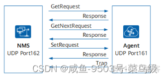 龙架构 龙架构 snmp_请求报文_05